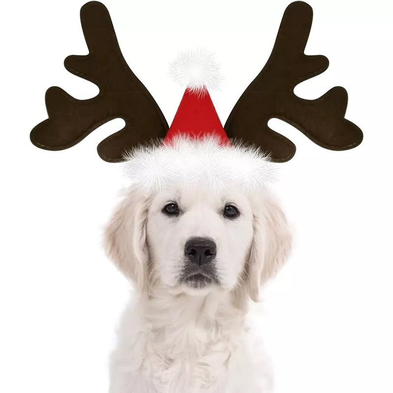 Get Your Pup Holiday-Ready with Festive Dog Accessories: Elk Antlers, Santa Hat, and More!