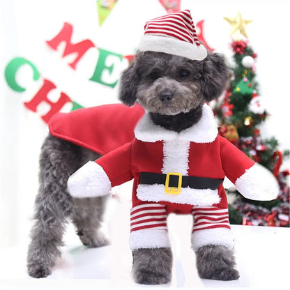 Santa Paws Chic: Festive Christmas Costume for Large Dogs - Ideal Attire for Your Stylish Labrador & Golden Retriever!